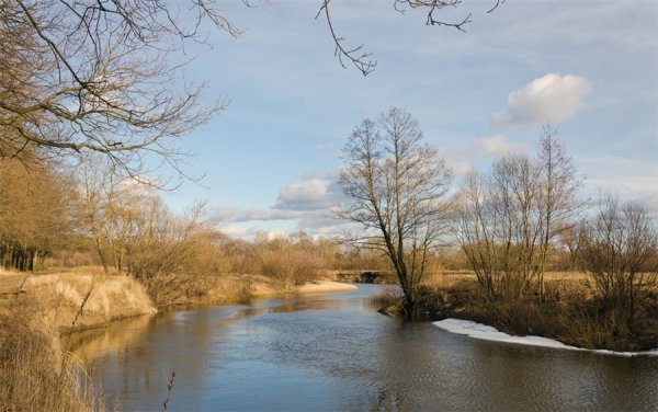 Брянск весной