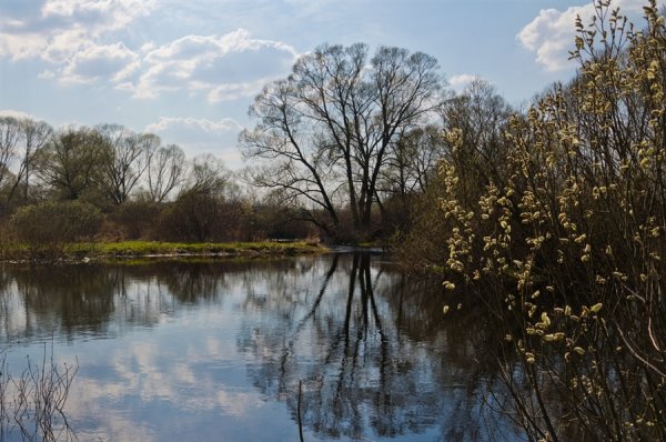 Брянск Весна