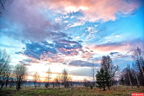 Брянск весной