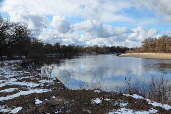 Сквер имени Фокина Фокинский район