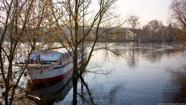 Город Брянск весной