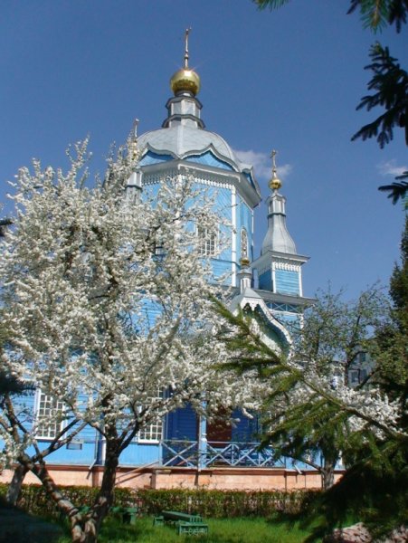 Городские клумбы в г. Брянске