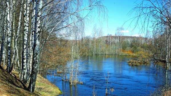 Город Брянск в 2005