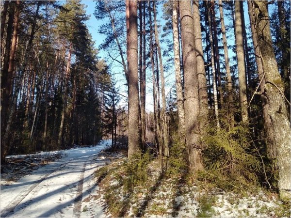 Осенний Брянск