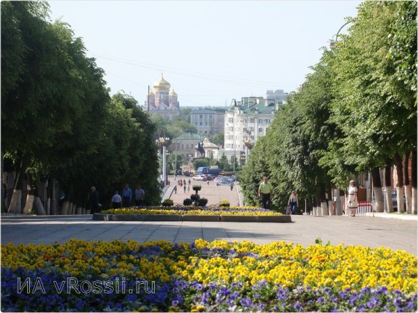 Брянск в цвету