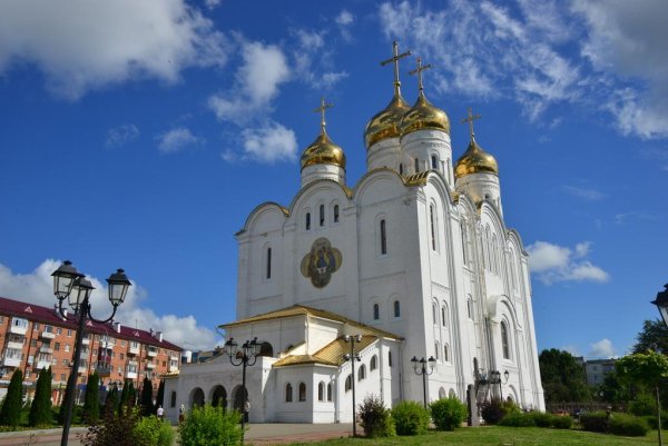 Природа в Брянской области весной