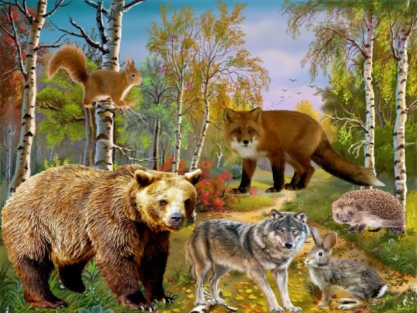 Дикие животные слайд