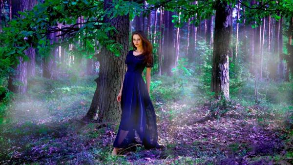 Сказочный лес