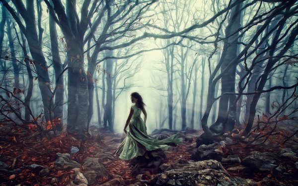 Кирсти Митчелл фотоработы