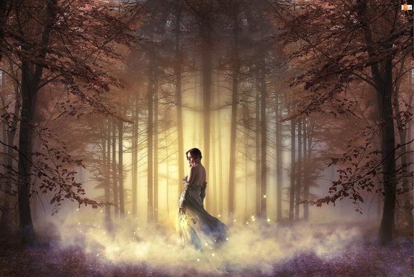 Фэнтези лес