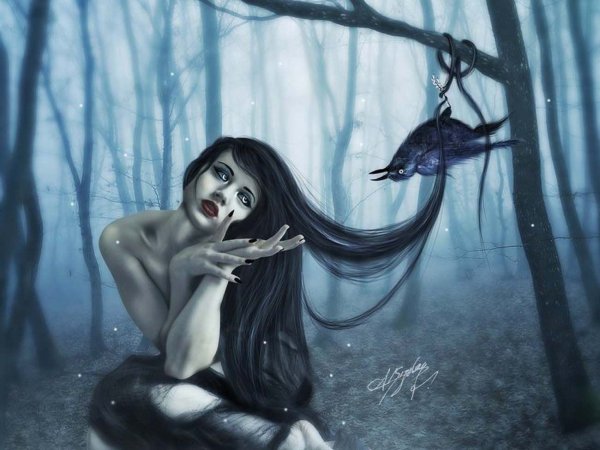 Девушка в лесу фэнтези