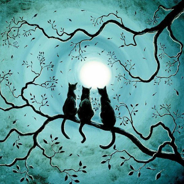 Красивых снов