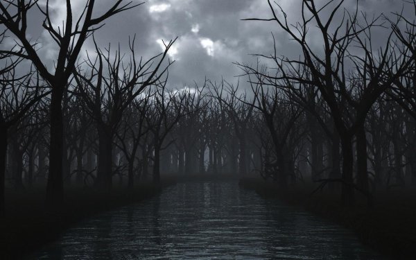 Сон фэнтези