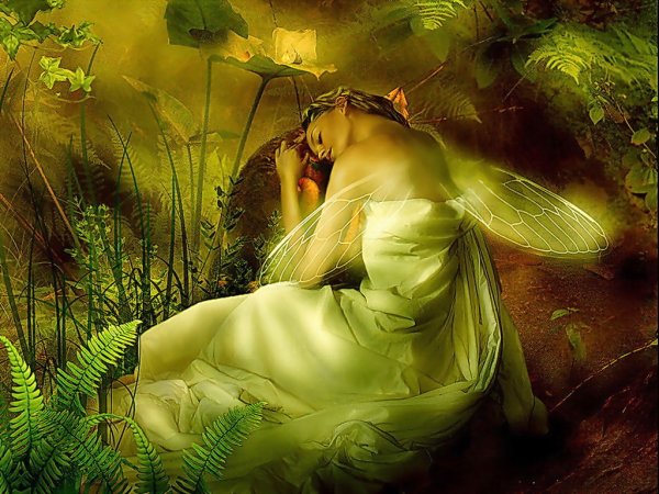 Надежда Стрелкина Мираж