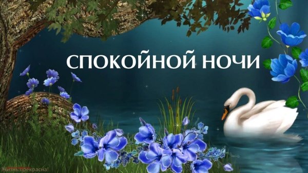 Спокойной ночи