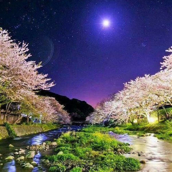 Сказочные пожелания спокойной ночи