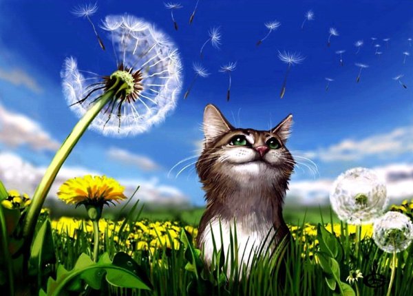 Хорошего настроения одуванчики