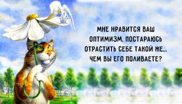 Позитивные фразы