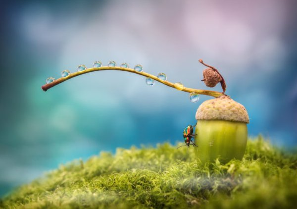 Мгновения природы