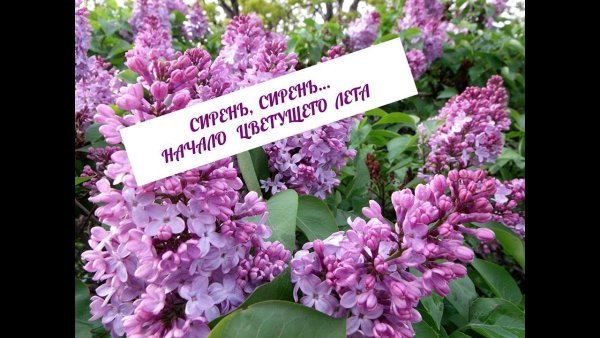 Счастливой весны
