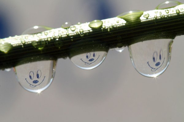 Весенний оптимизм