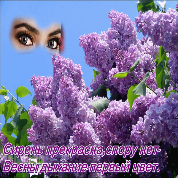 Майское утро