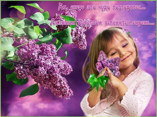 Сирень с пожеланиями