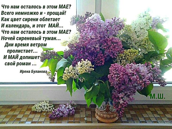 Весна сирень стихи