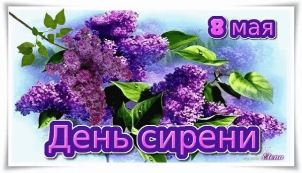 С днём рождения сирень сиреневая