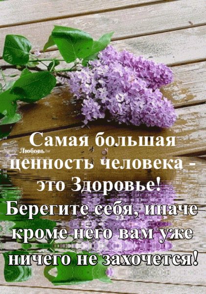 Вечерняя сирень