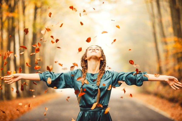 Губерман стихи смешные