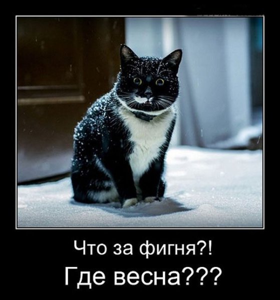 Весна ты где
