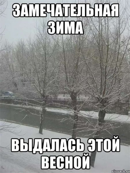 Мемы про весну