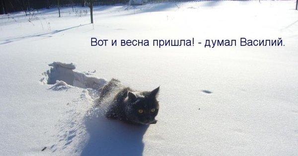 Приколы про зиму и весну