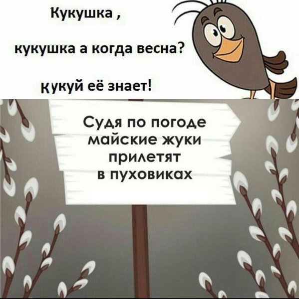 Шутки про весну