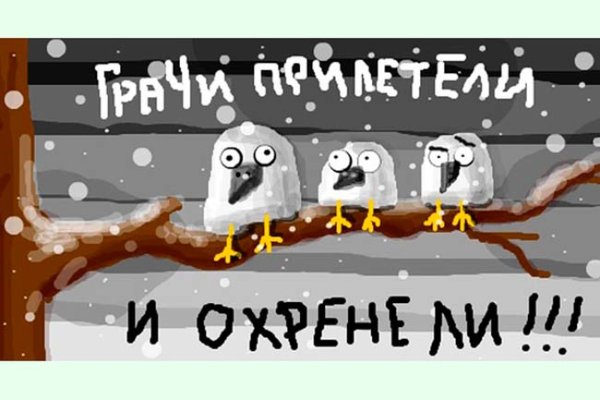 Грачи прилетели и охренели