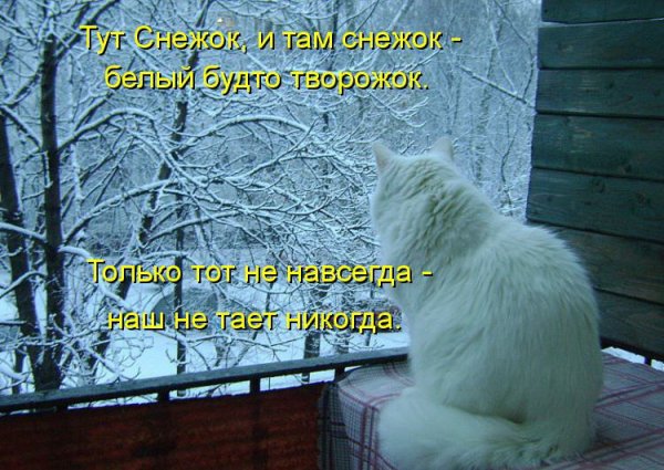 Про снег в апреле смешные