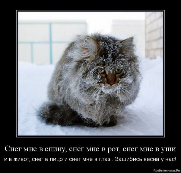 Весна Проснись зима наглеет