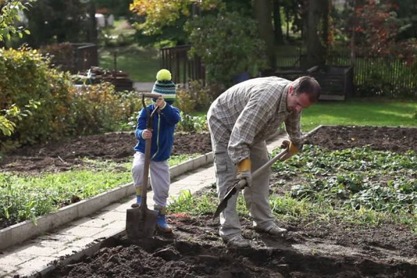 Весенние работы в огороде