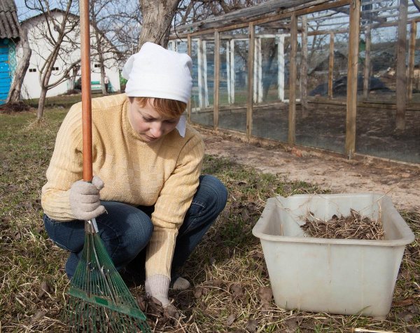 Уборка на даче весной