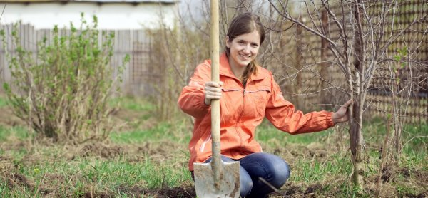 Огород весной