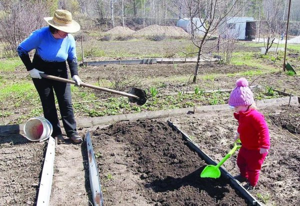 Уборка в саду весной