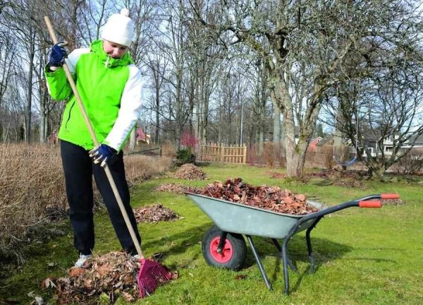 Уборка огорода весной