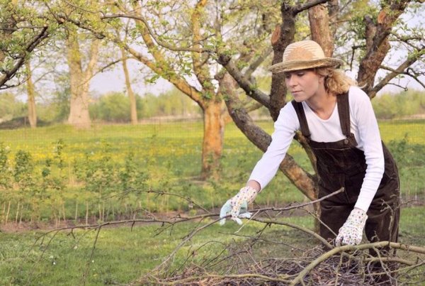 Работа в огороде