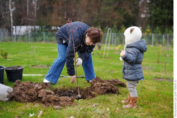 Труд в огороде