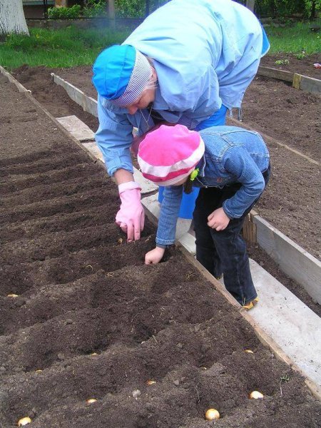 Работа в саду