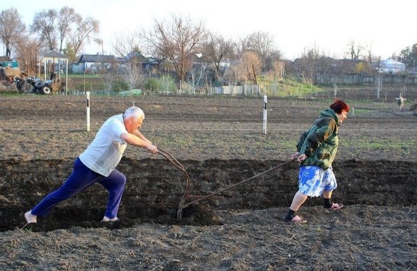 Садоводы и огородники