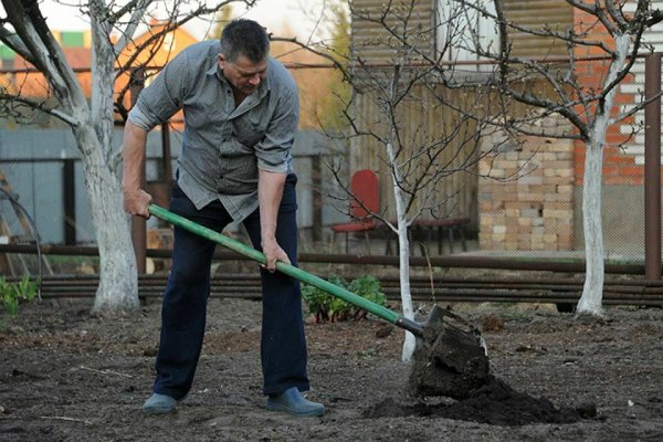 Женщина на грядке