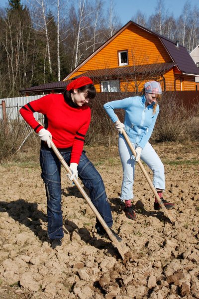 Приколы весенние работы в саду
