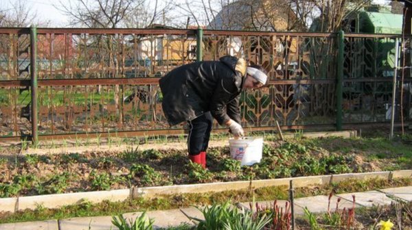 Семья трудится на даче